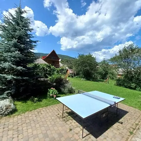 у тараса і лесі *