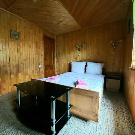 у тараса і лесі Pensjonat