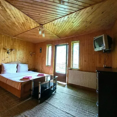 у тараса і лесі *