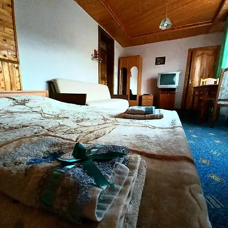 у тараса і лесі Yaremtche