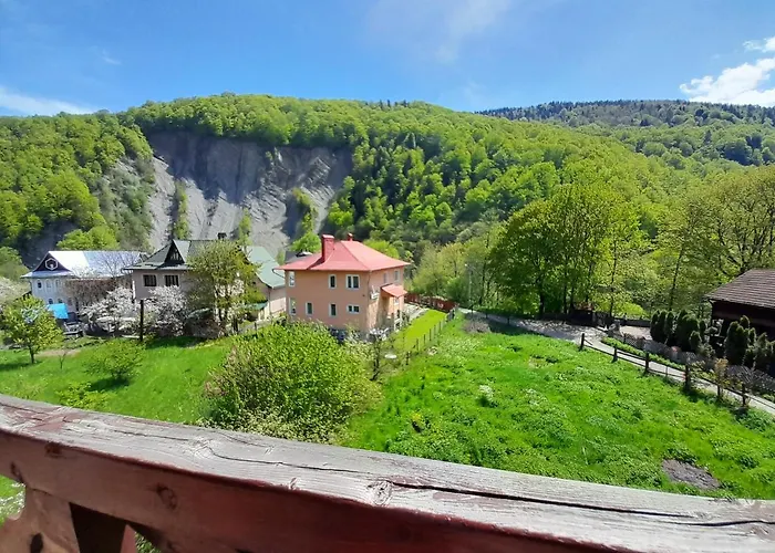 у тараса і лесі Konukevi