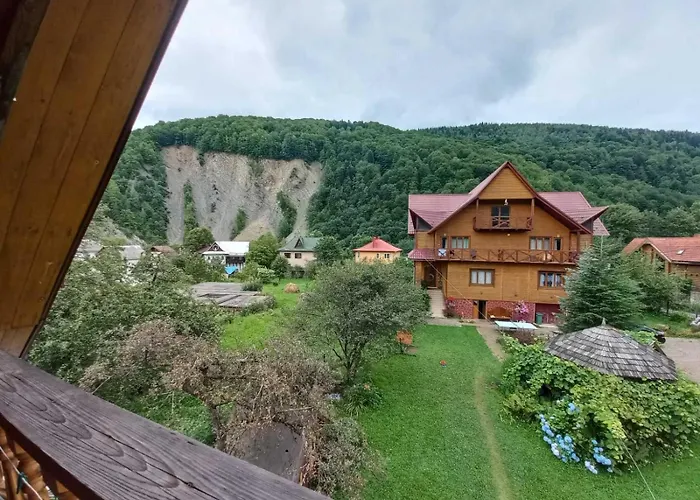 у тараса і лесі *