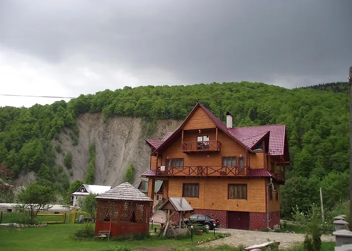 у тараса і лесі * Yaremche