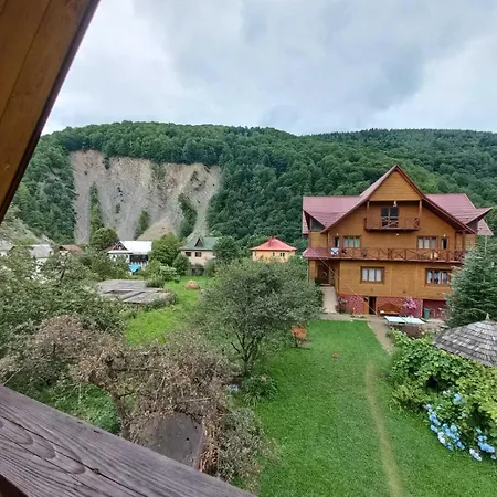 у тараса і лесі *